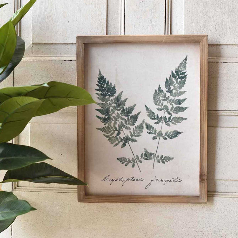 Forest Glen Framed Print No.2