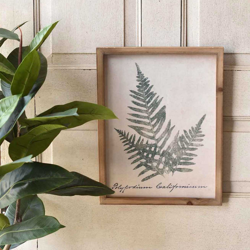 Forest Glen Framed Print No.3
