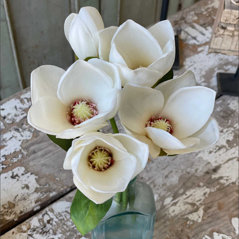 Magnolia Bundle Fresh Touch 13"