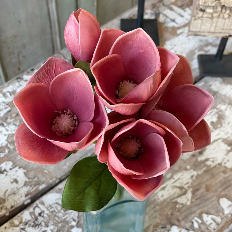 Magnolia Bundle Fresh Touch 13"