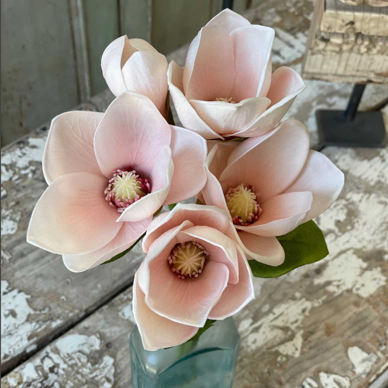 Magnolia Bundle Fresh Touch 13"