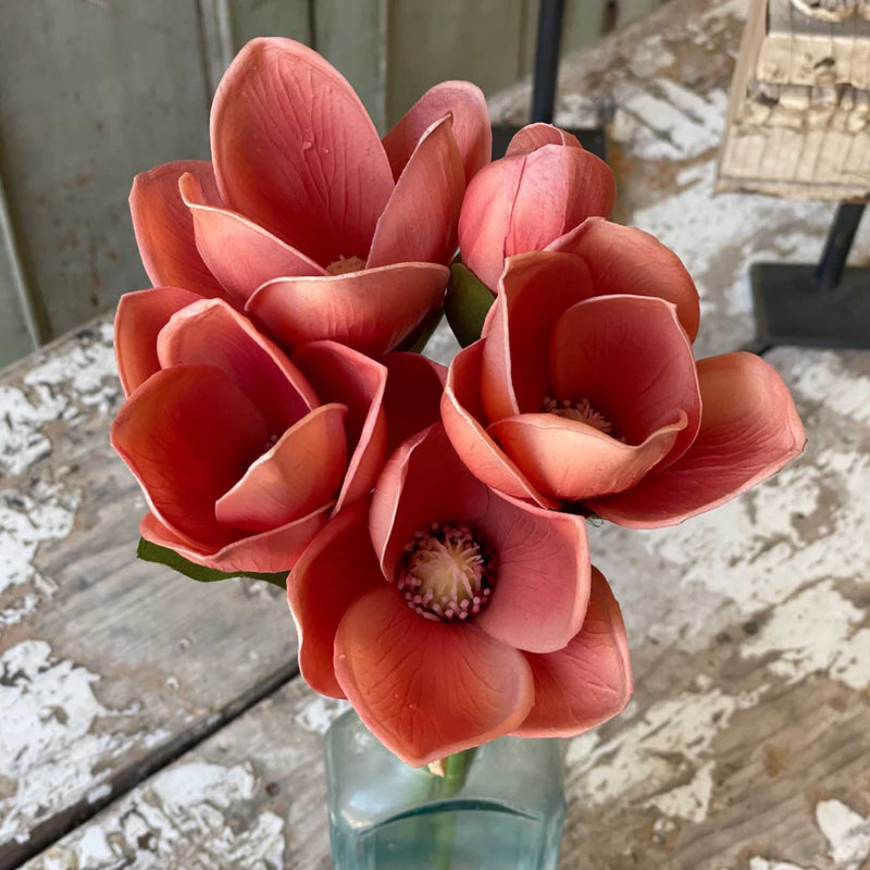 Magnolia Bundle Fresh Touch 13"