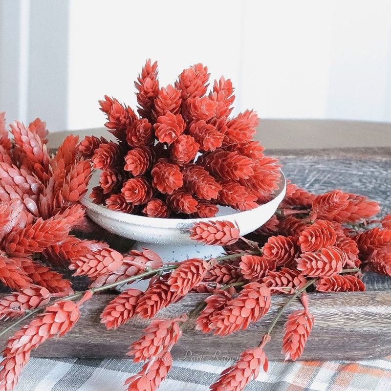 Hops Heartfelt Red Greenery Collection