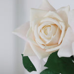 Duchess Rose White Stem Real Touch 25”