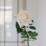 Duchess Rose White Stem Real Touch 25”