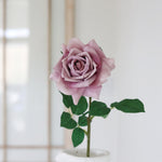 Duchess Rose Purple Stem Real Touch 25”