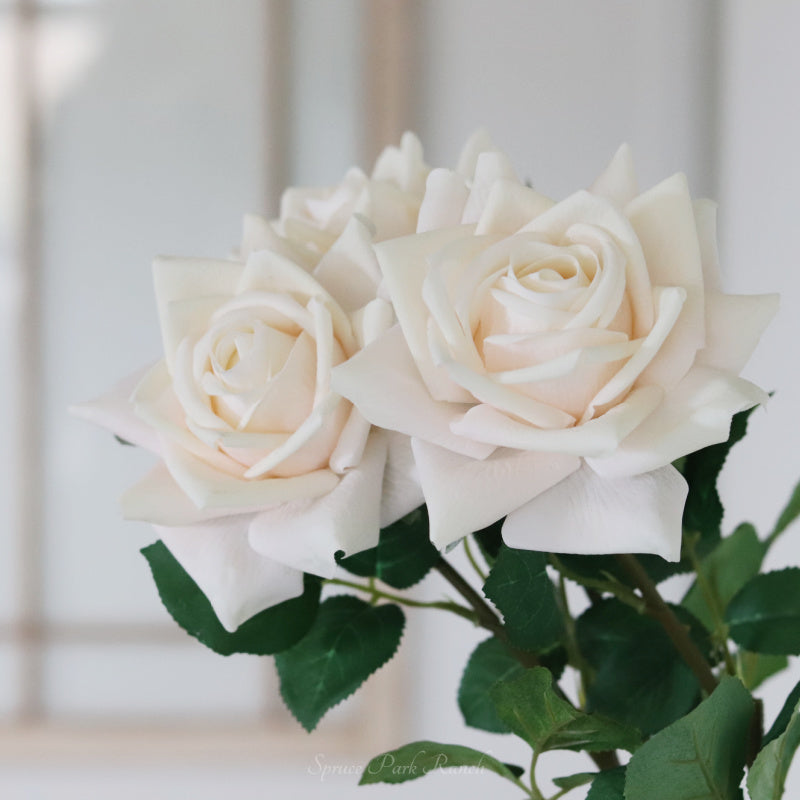 Duchess Rose White Stem Real Touch 25”