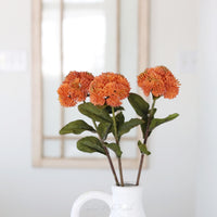 Sedum Stem 20"