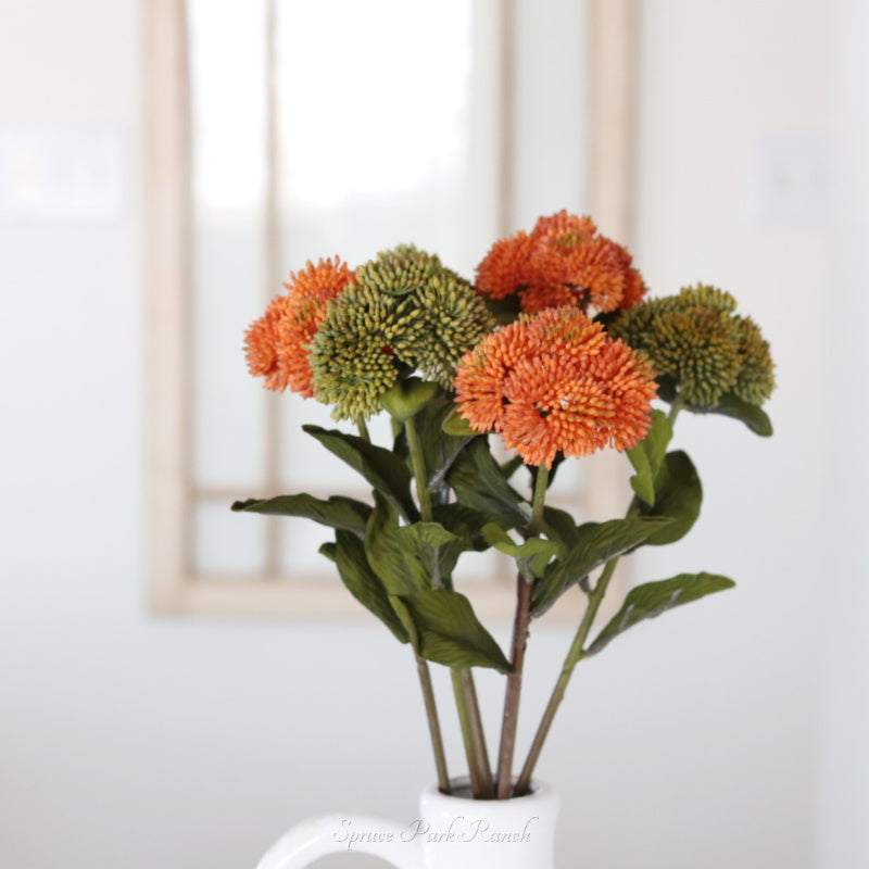Sedum Stem 20"