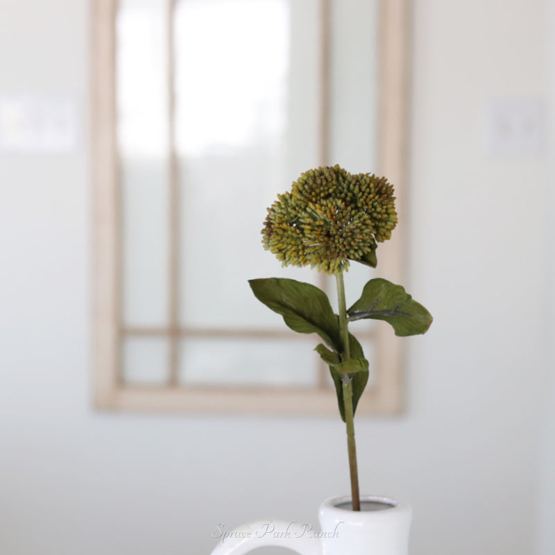 Sedum Stem 20"