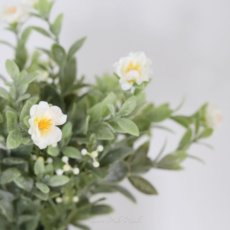 Starlight Veil Greenery Collection