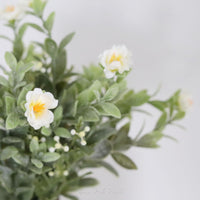 Starlight Veil Greenery Collection