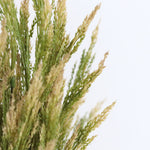 Green Wheat Bush 21"