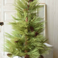 Long Needle Pine Tree Collection