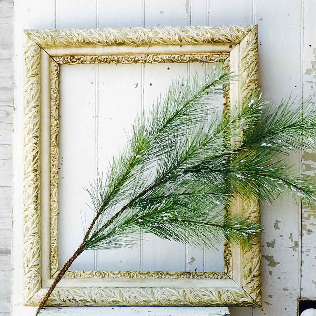 Silver Fir Spray with Snow