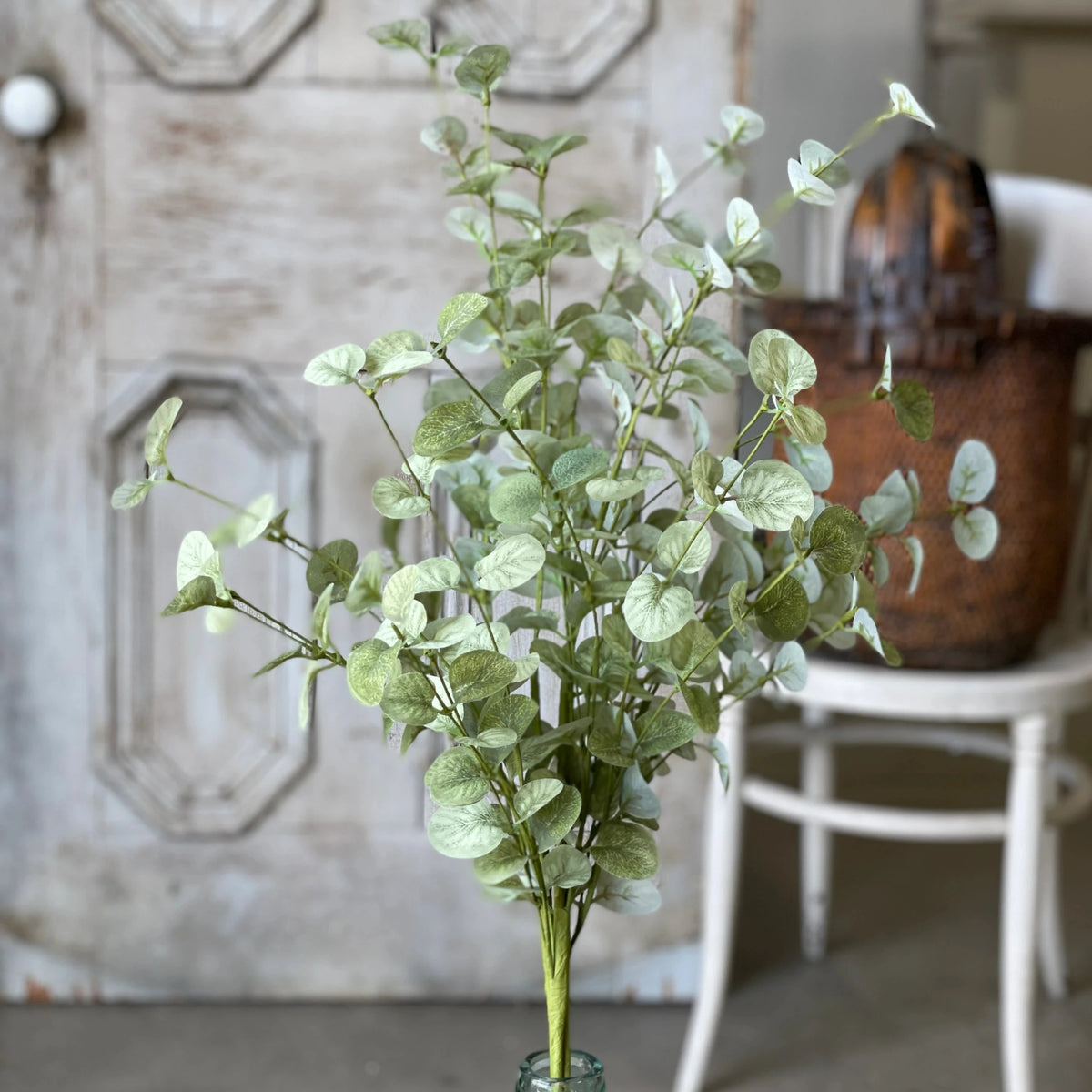 Callum Dusty Green Eucalyptus Bundle