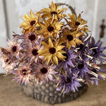 Dried Day Daisy Bundle