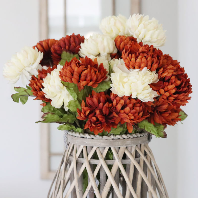Mum Ball Bush
