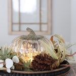 Glass Pumpkin Cloche