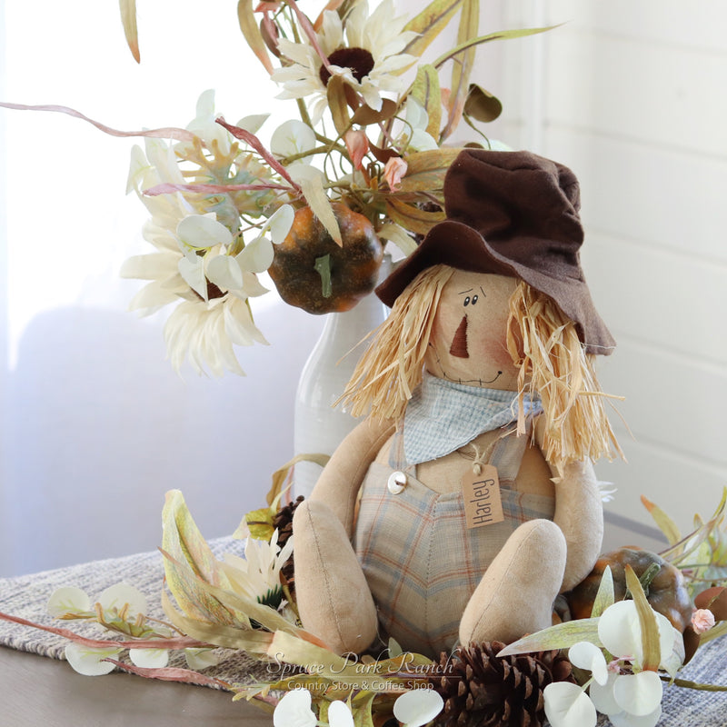 Harley the Scarecrow