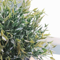 Twilight Ash Greenery Collection