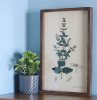 Framed Botanical Print