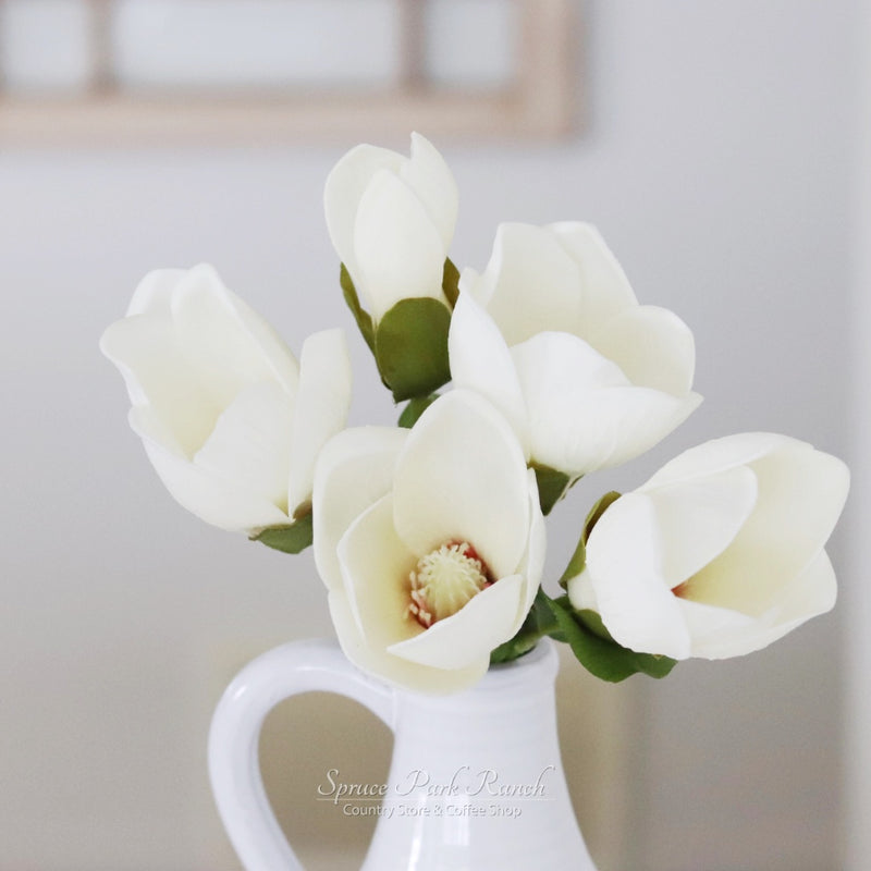 Magnolia Bundle Fresh Touch 13"