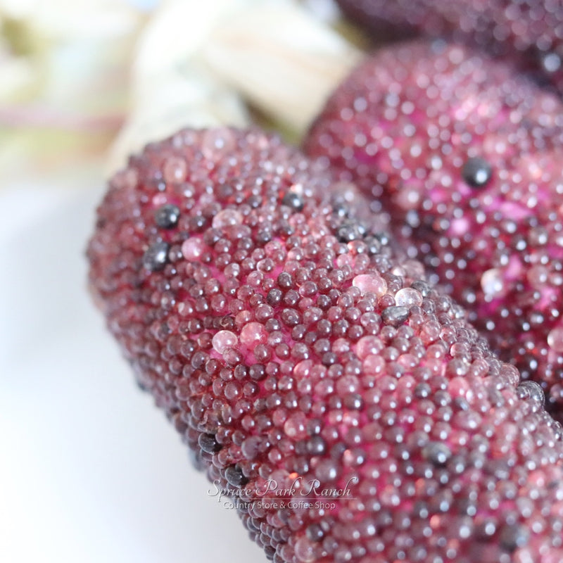 Beaded Corn Bundle