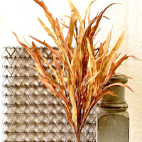 Golden Isles Sienna Bush 32"