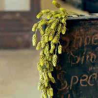 Hops Green Greenery Collection