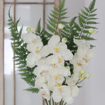 Orchid Stem Fresh Touch 30.5"