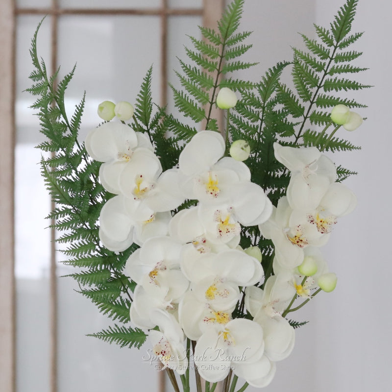 Orchid Stem Fresh Touch 30.5"