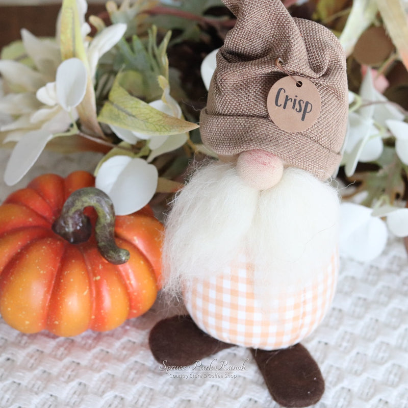 Crisp the Fall Gnome