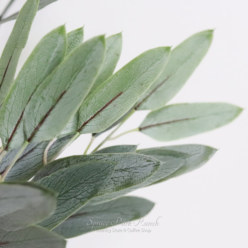 Willow Fresh Touch Eucalyptus Pick Collection