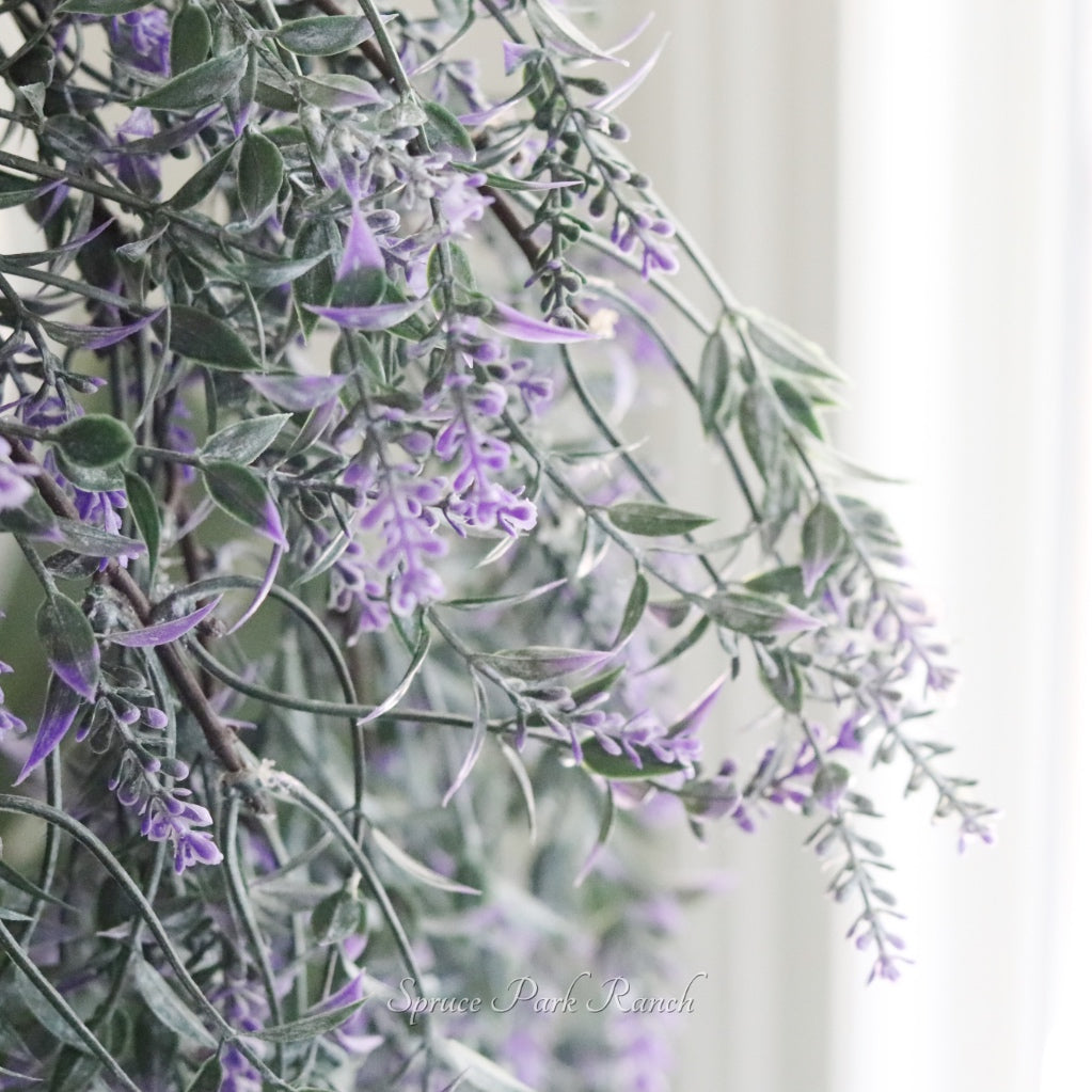 Sheffield Lavender Hanging Drop 28"