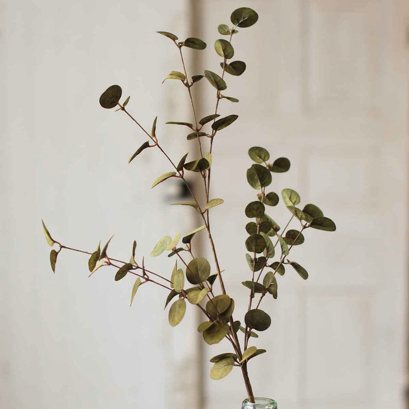 Penny Leaf Eucalyptus Greenery Collection
