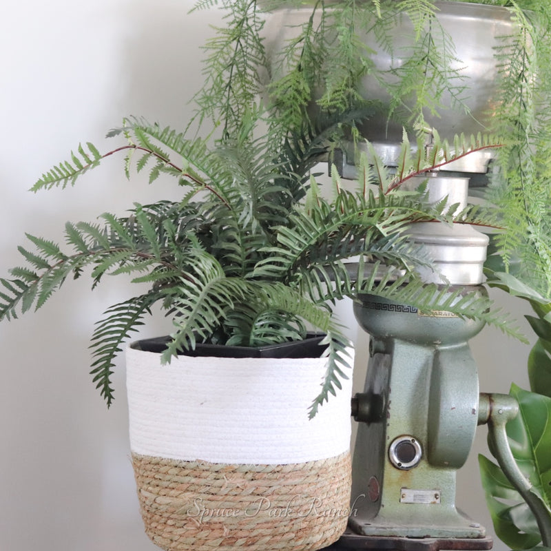 Colour Block White Grass Basket