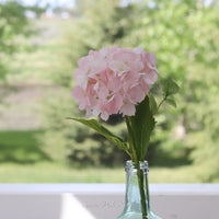 Hydrangea Single Stem Real Touch