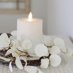 Halo Gleam Eucalyptus Collection