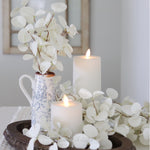 Halo Gleam Eucalyptus Collection