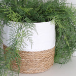 Colour Block White Grass Basket