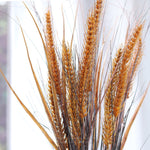 Wheat and Grass Stem