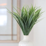 Rainwash Grass Bush