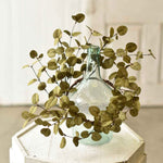 Penny Leaf Eucalyptus Greenery Collection