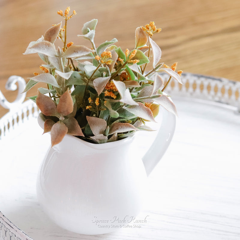 Harvest Harmony Bush
