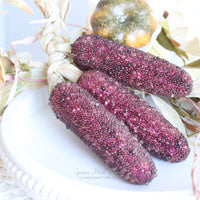 Beaded Corn Bundle