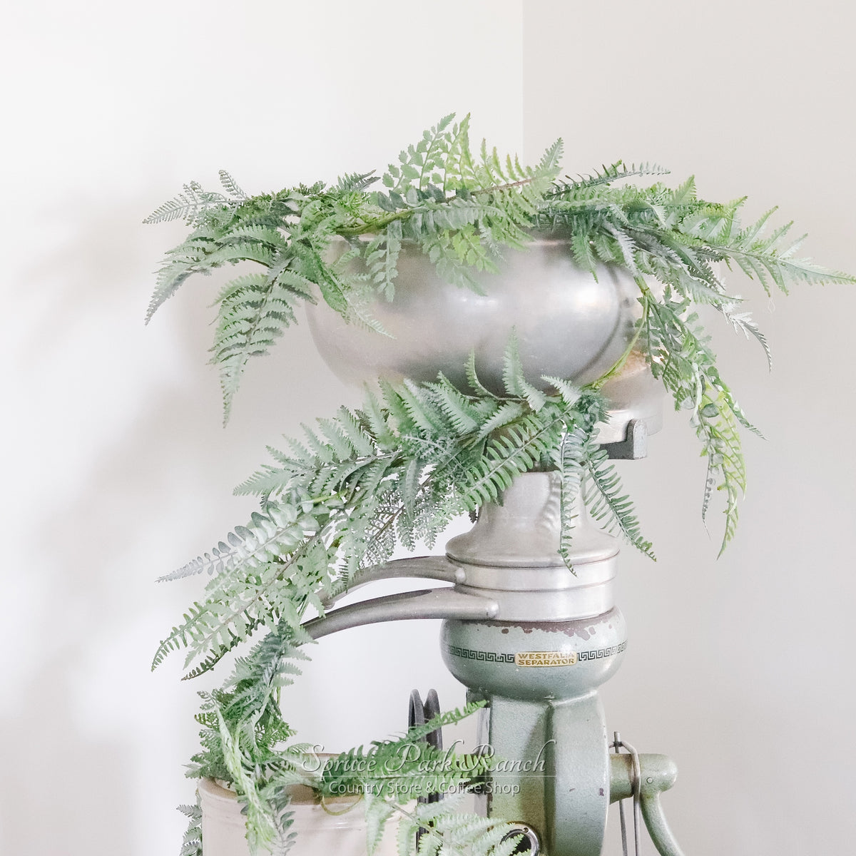 Mixed Fern Garland Fresh Touch