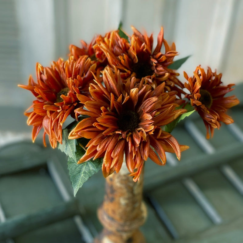 Spider Mum Bundle Fresh Touch 12"