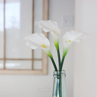 Calla Lilly Fresh Touch Stem 22”L