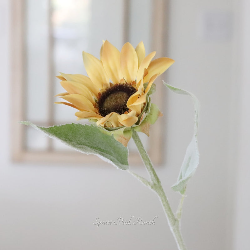 Yellow Sunflower Stem